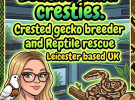 Rescue & Rehome!