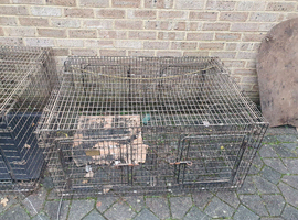 Barnesbrook Twin Stackable Cages