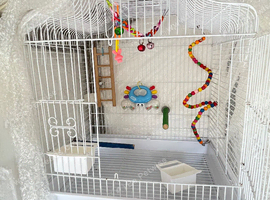 Bird Cage small parrot cage budgie cage white good condition