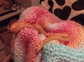 2 year old corn snake