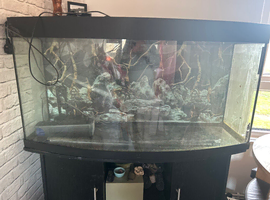 Juwel Vision aquarium