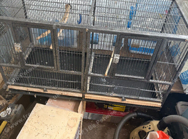 Metal double birdcage