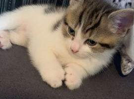 Beautiful baby boy