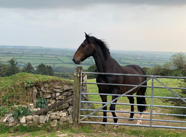 Home and land, Devon and Cornwall