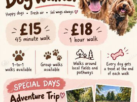 Paisley's Paths Dog Walker