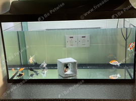 2 1/2 foot fish tank 105 litres brand new condition with 10 gold fish