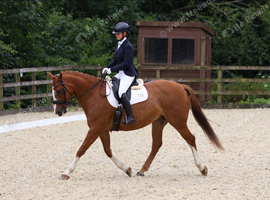 Join the team at The Ilkeston Stud
