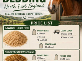 SHAVINGS/BEDDING AND FEED