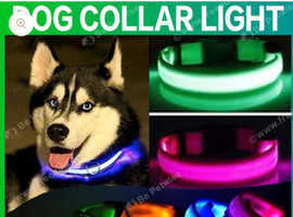 Pet accessories and more