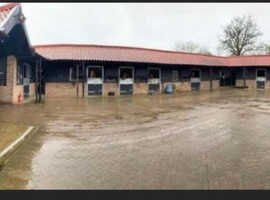 Finchingfield equestrian centre