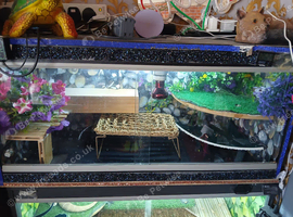 Vivarium 3ft