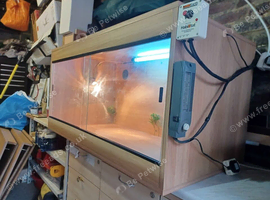 Vivarium LARGE 4ft x2ft x2ft with electrics