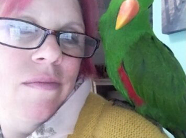Bird/ parrot boarding/ holiday service, registered, hampshire