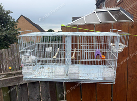 Cage