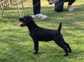 Patterdale