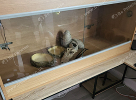 Reptile Encloser