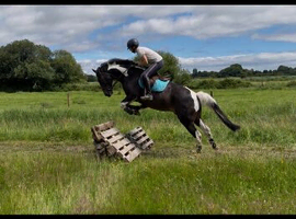 Potential top class allrounder