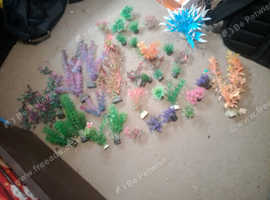 Fish tank plants