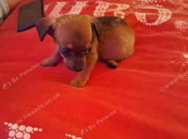 For sale