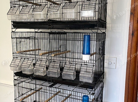 4 breeding cages 60cm wide