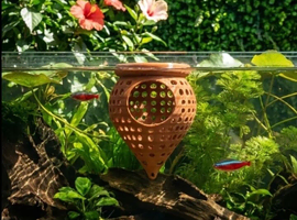 Betta Fish Hammocks multiple colours available