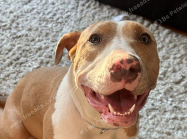 8 month old