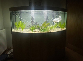 Fish tank for sale