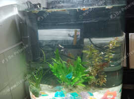 Fish tank