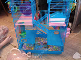 Large hamster cage
