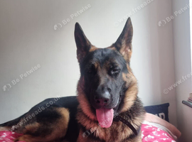 Beautiful 14 Months Cairo