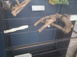 Nice bird cage for sale