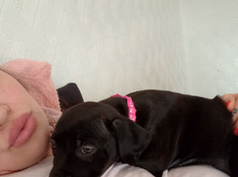 Milly