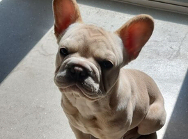 10month old girl