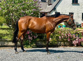 Smart and willing all round and event prospect