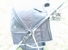 Dog buggy
