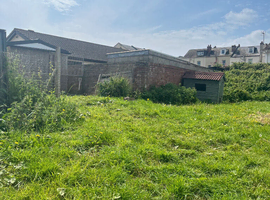 Free goats wanted