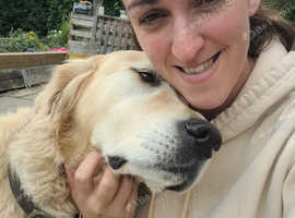 Pet sitter dog walker