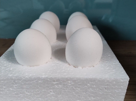 Hatching Eggs Chickens Marans x Leghorn