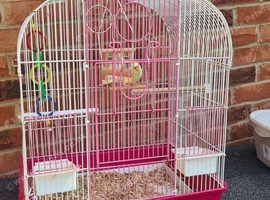 Bird and cage
