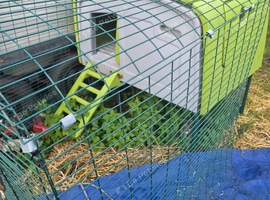 Omlet coop and run