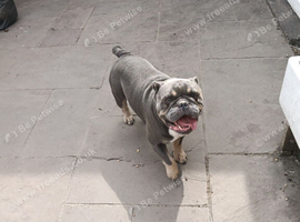 Male and female urgent home required