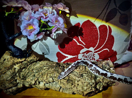 Various Kenyan sand boas