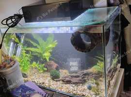 Aqua one platform 21 tank