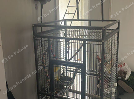 Beautiful cage for sale