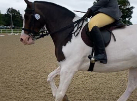 Mother/ daughter share all rounder
