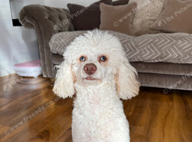 Meet Molly
