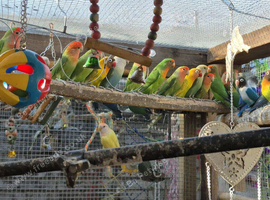 Beautiful lot