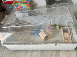 hamster cage for sale