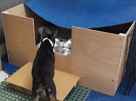 Whelping box, 4'x4'x2', easy to assemble.