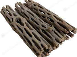 5X Cholla Cactus Wood Aquariums Shrimp Snails Fry Aquascape Pleco